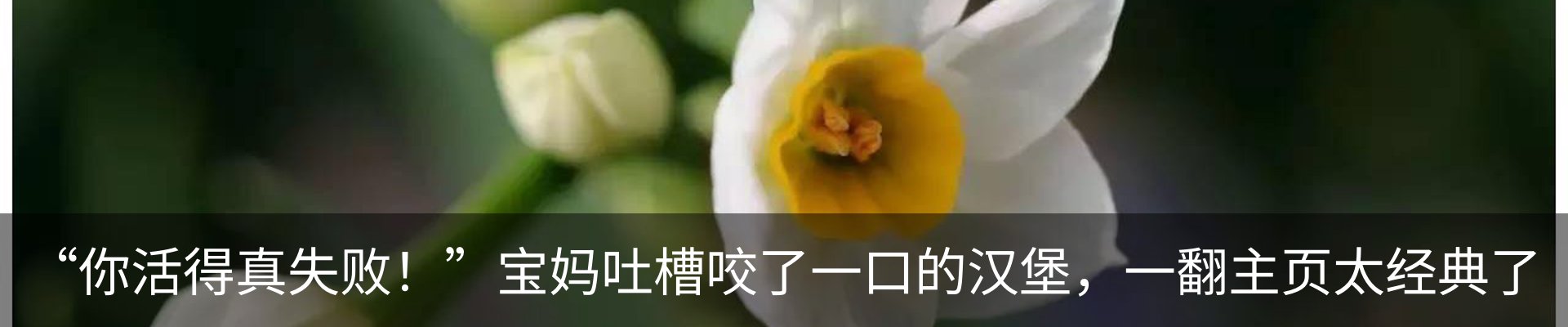 内页banner