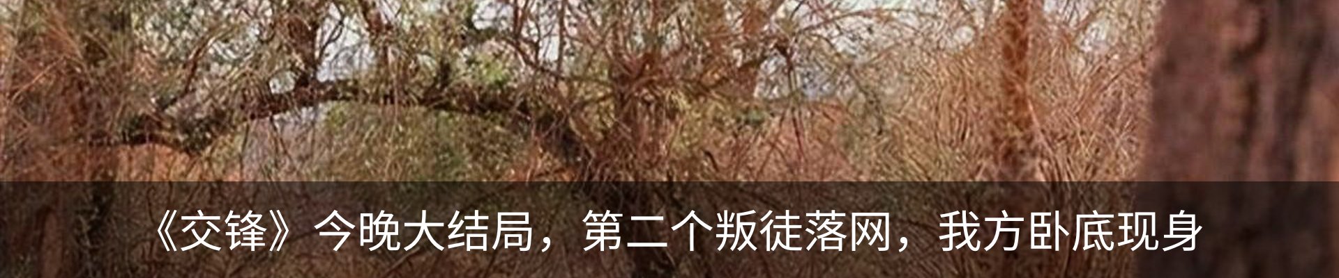内页banner