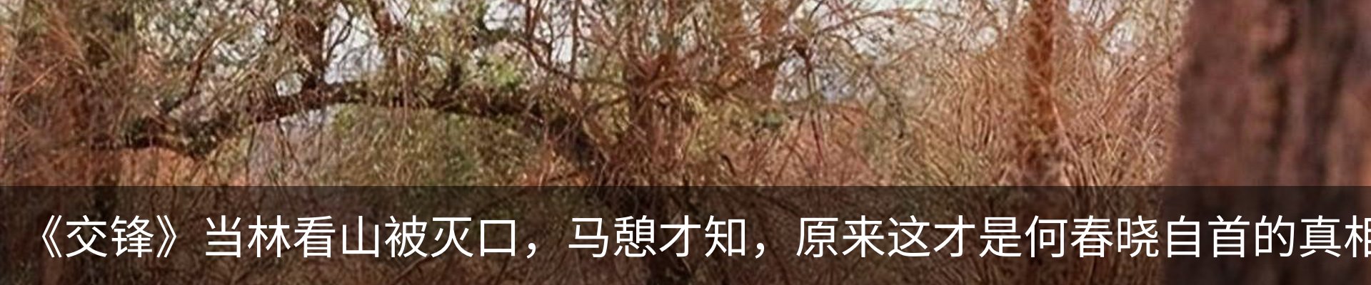 内页banner