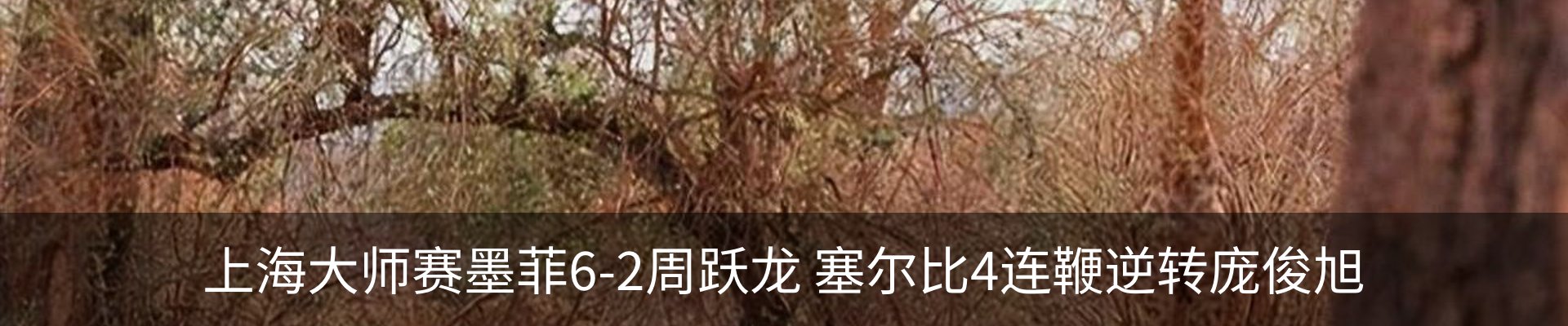 内页banner