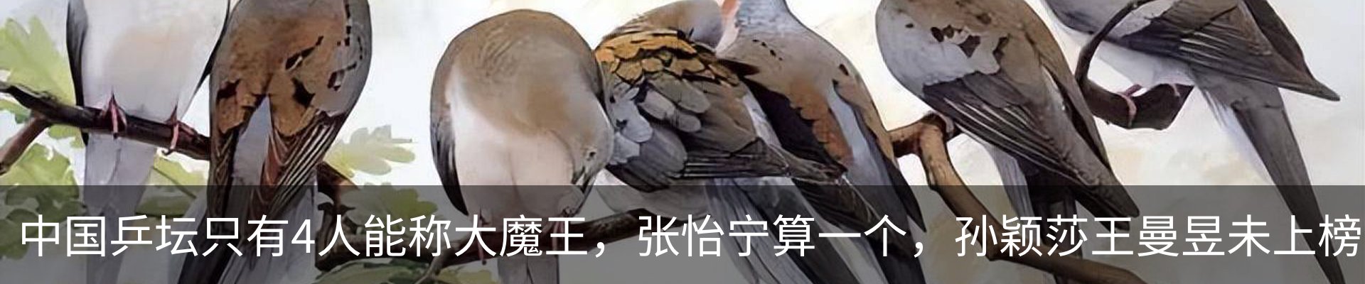 内页banner