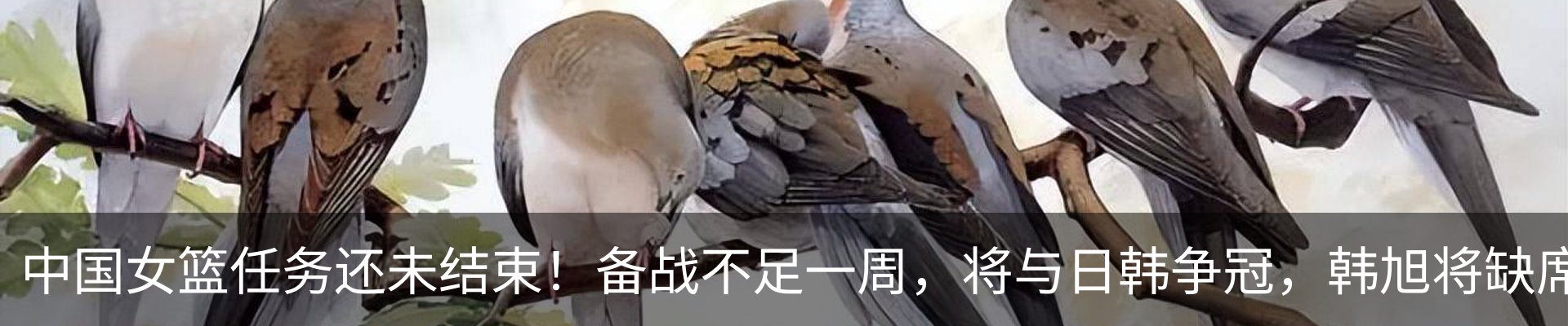 内页banner