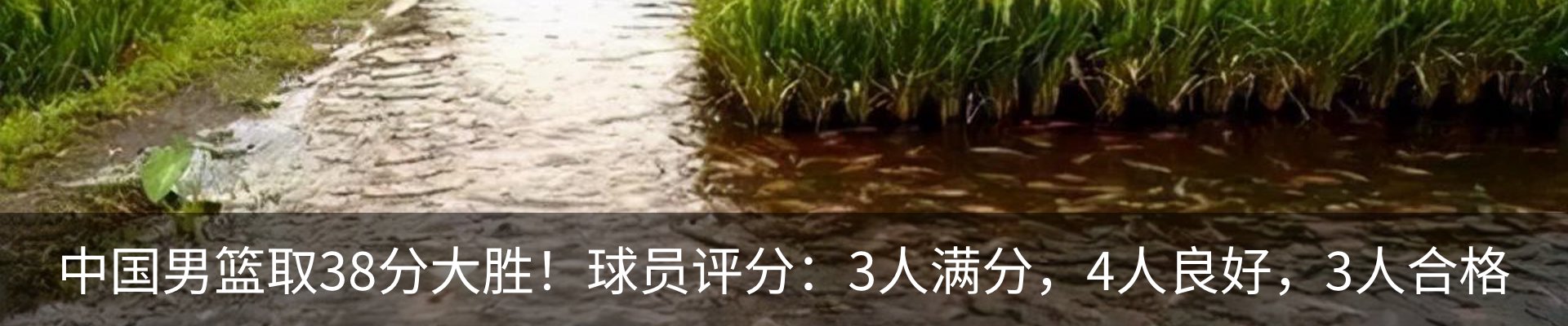 内页banner