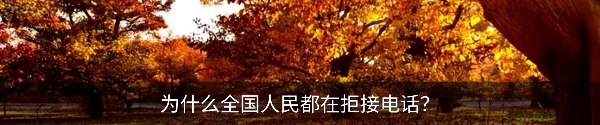 内页banner