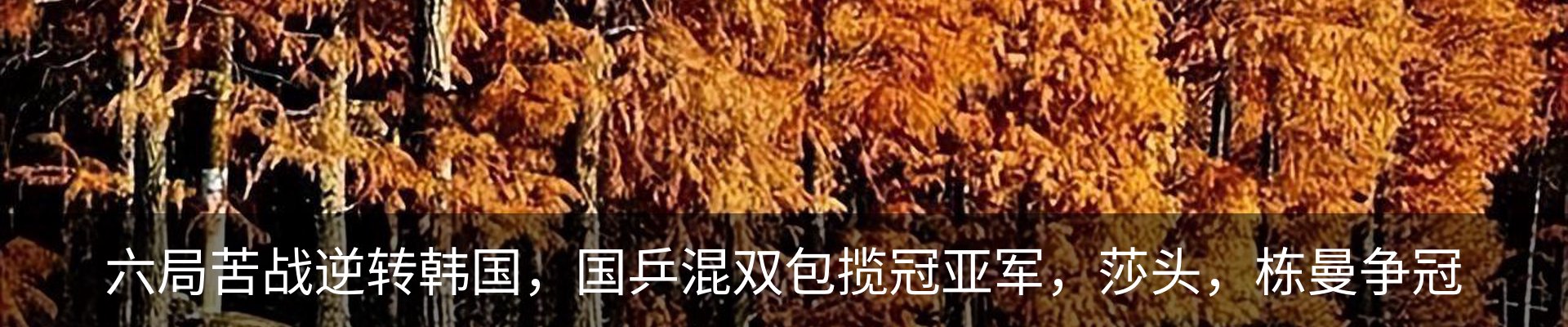内页banner