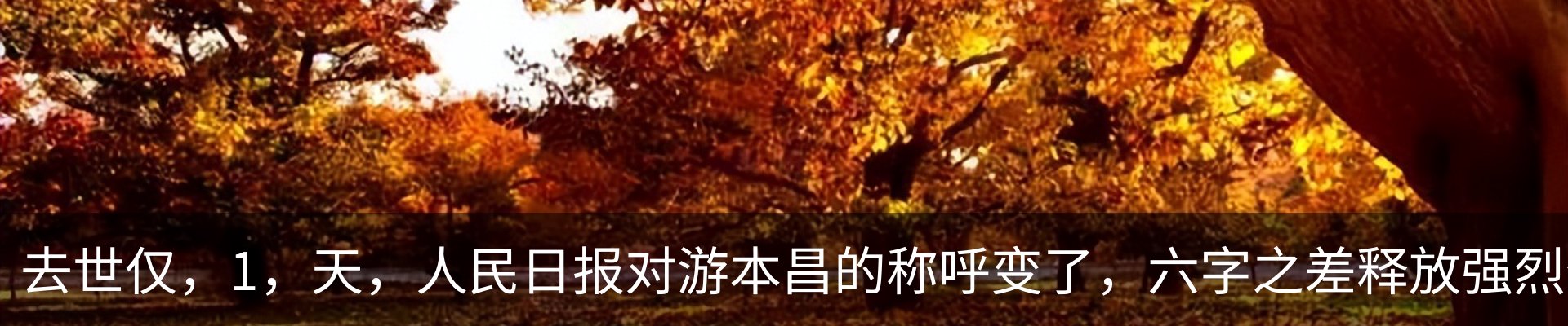 内页banner