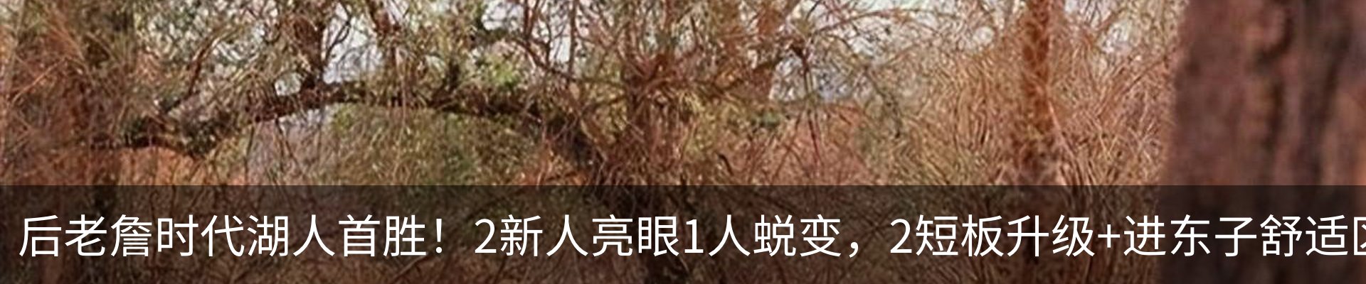 内页banner