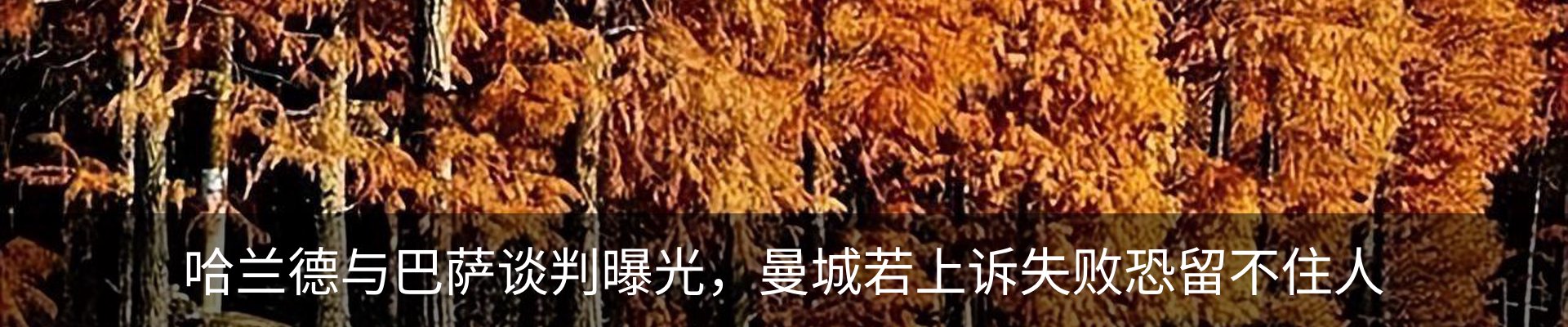 内页banner