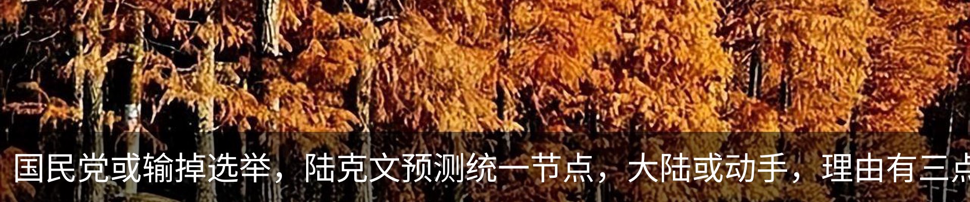 内页banner