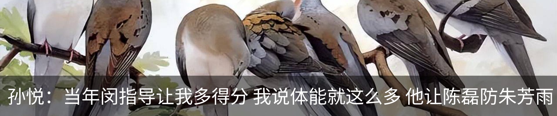 内页banner