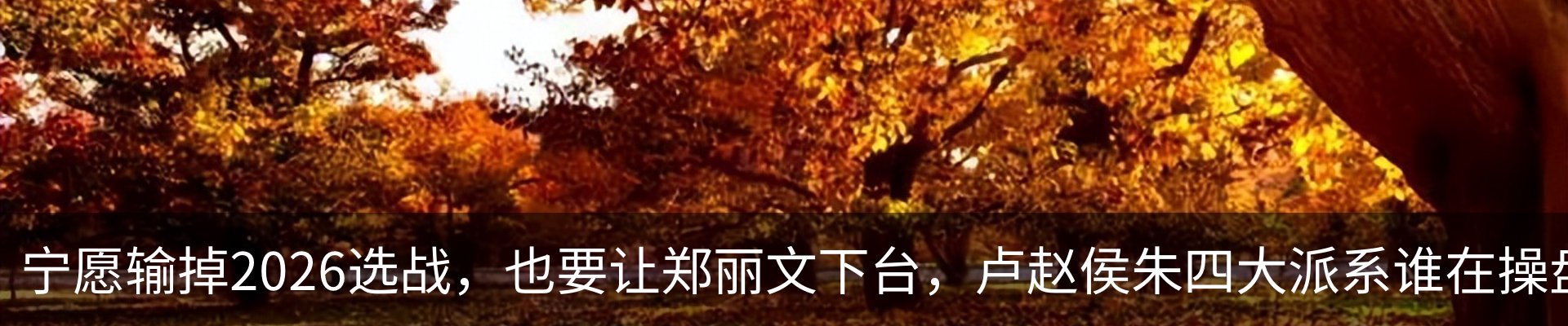 内页banner