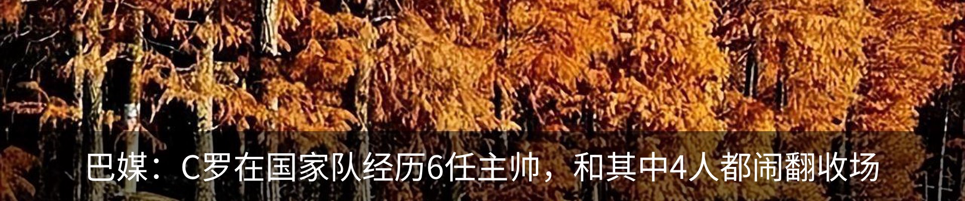 内页banner