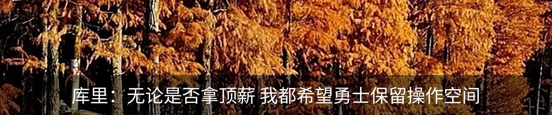 内页banner