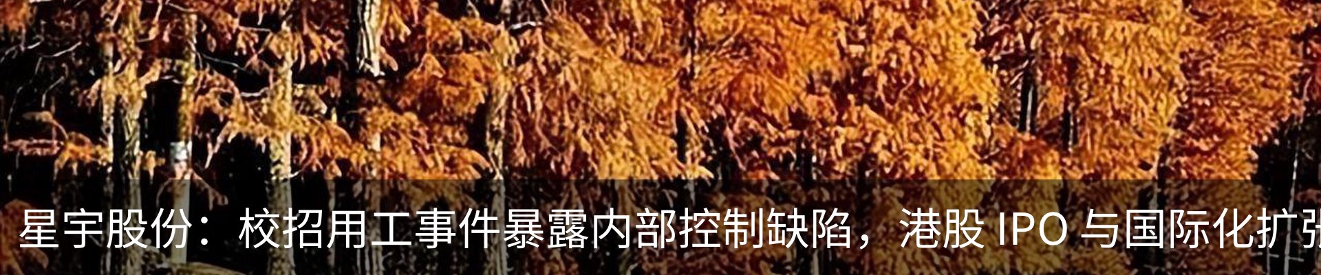 内页banner