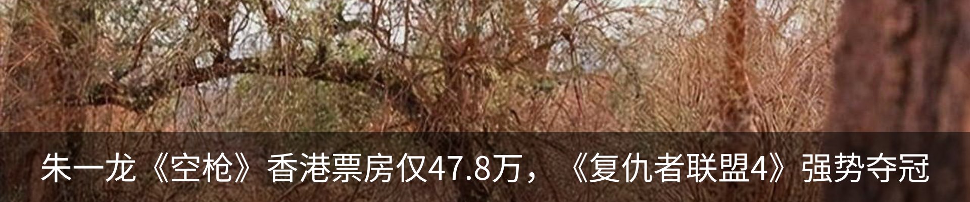 内页banner