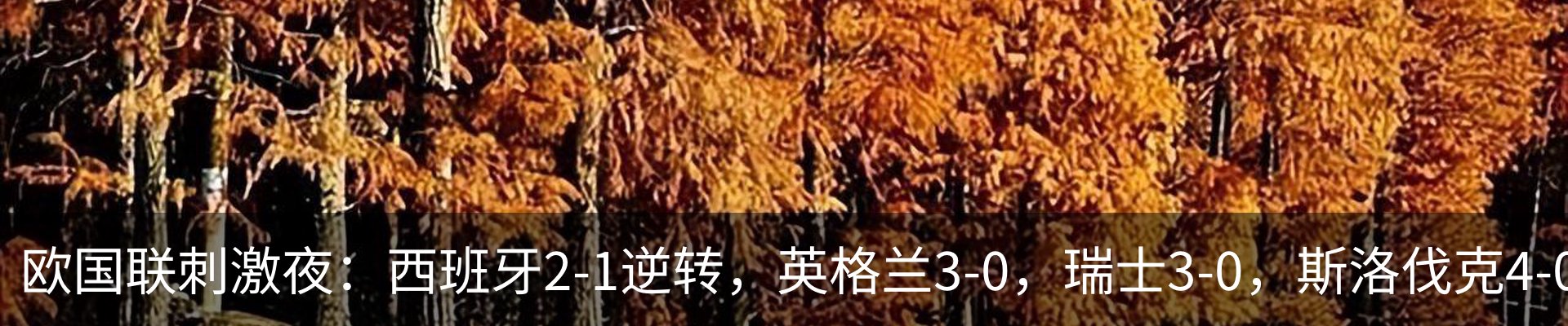 内页banner