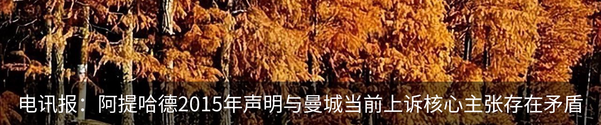 内页banner