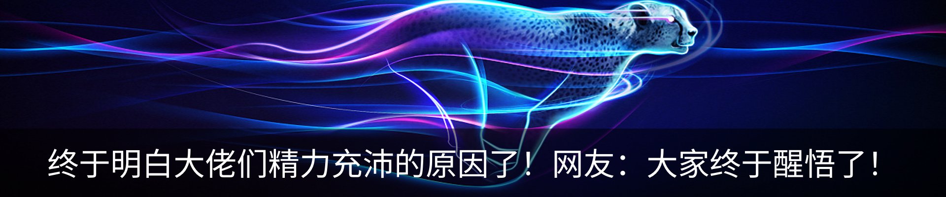 内页banner