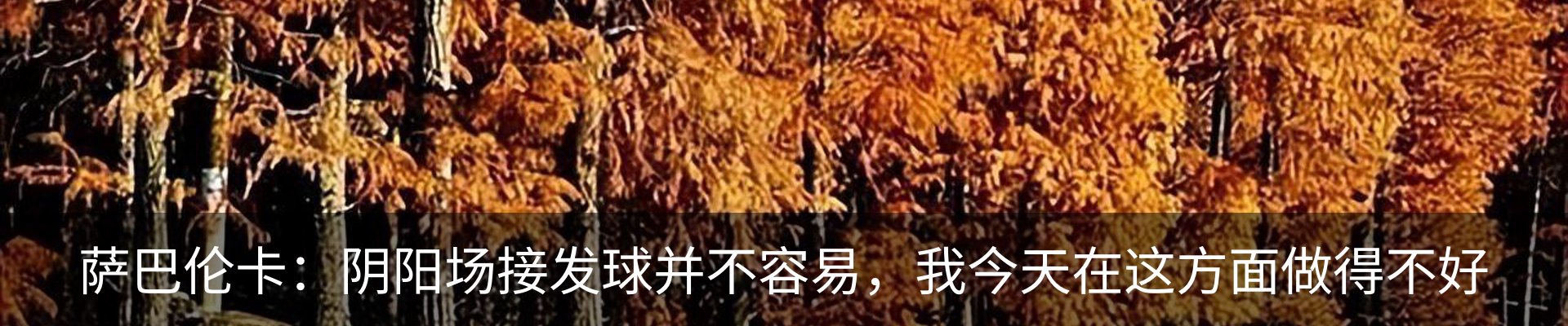 内页banner