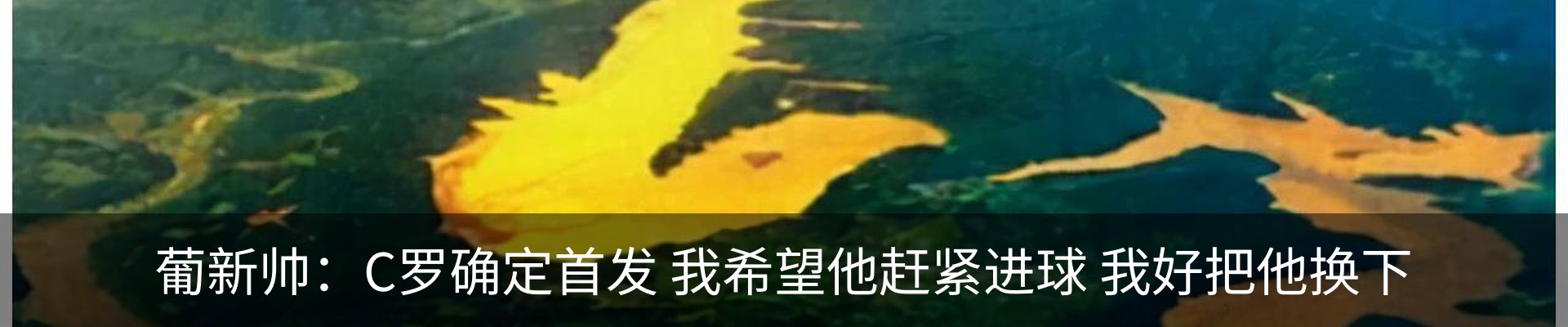 内页banner