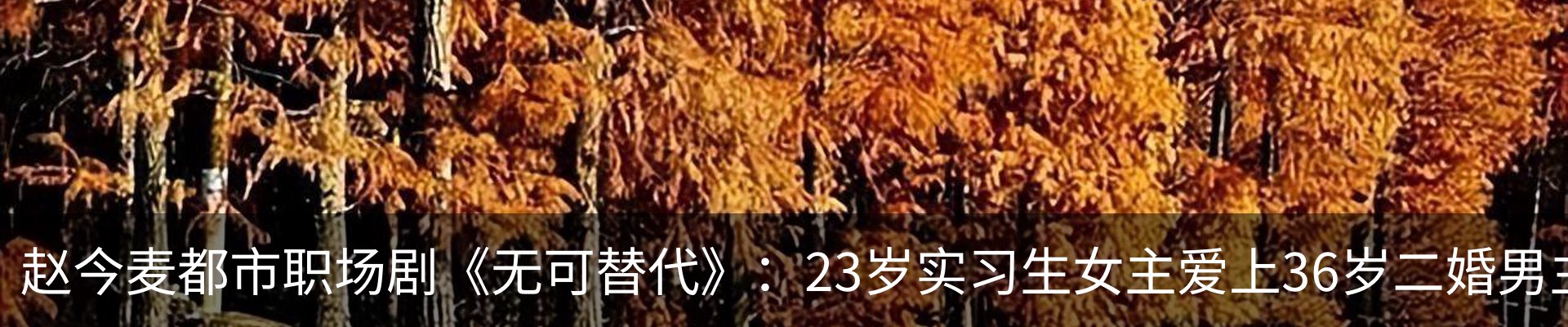 内页banner