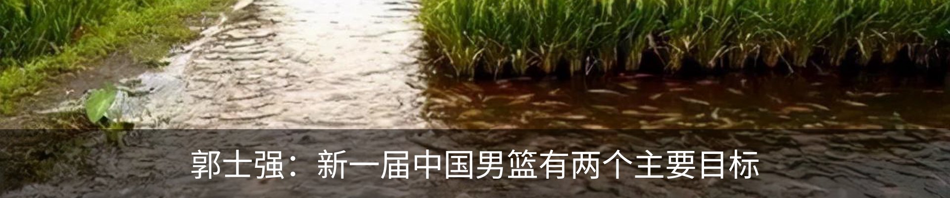 内页banner