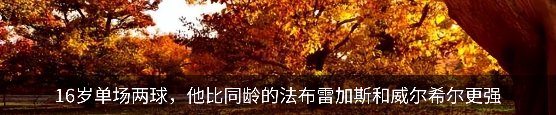 内页banner