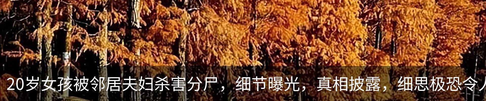 内页banner
