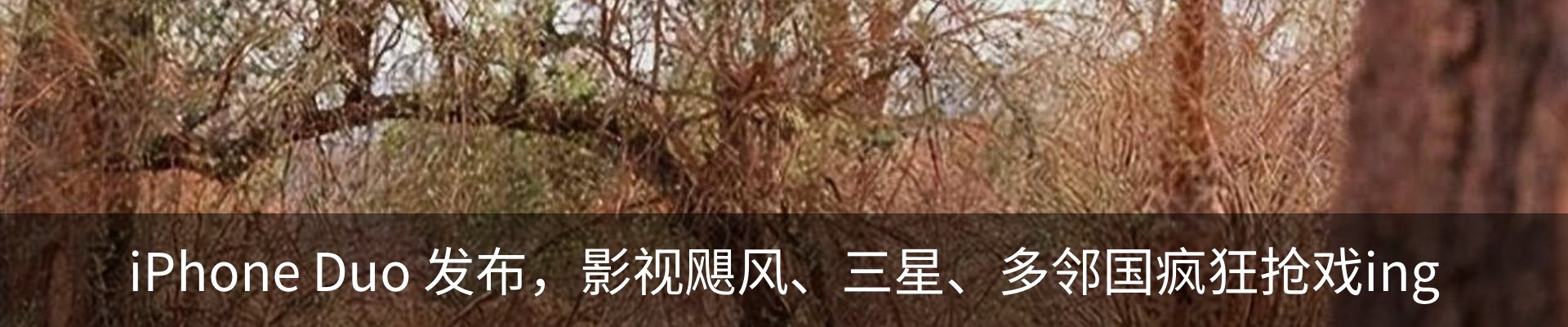内页banner